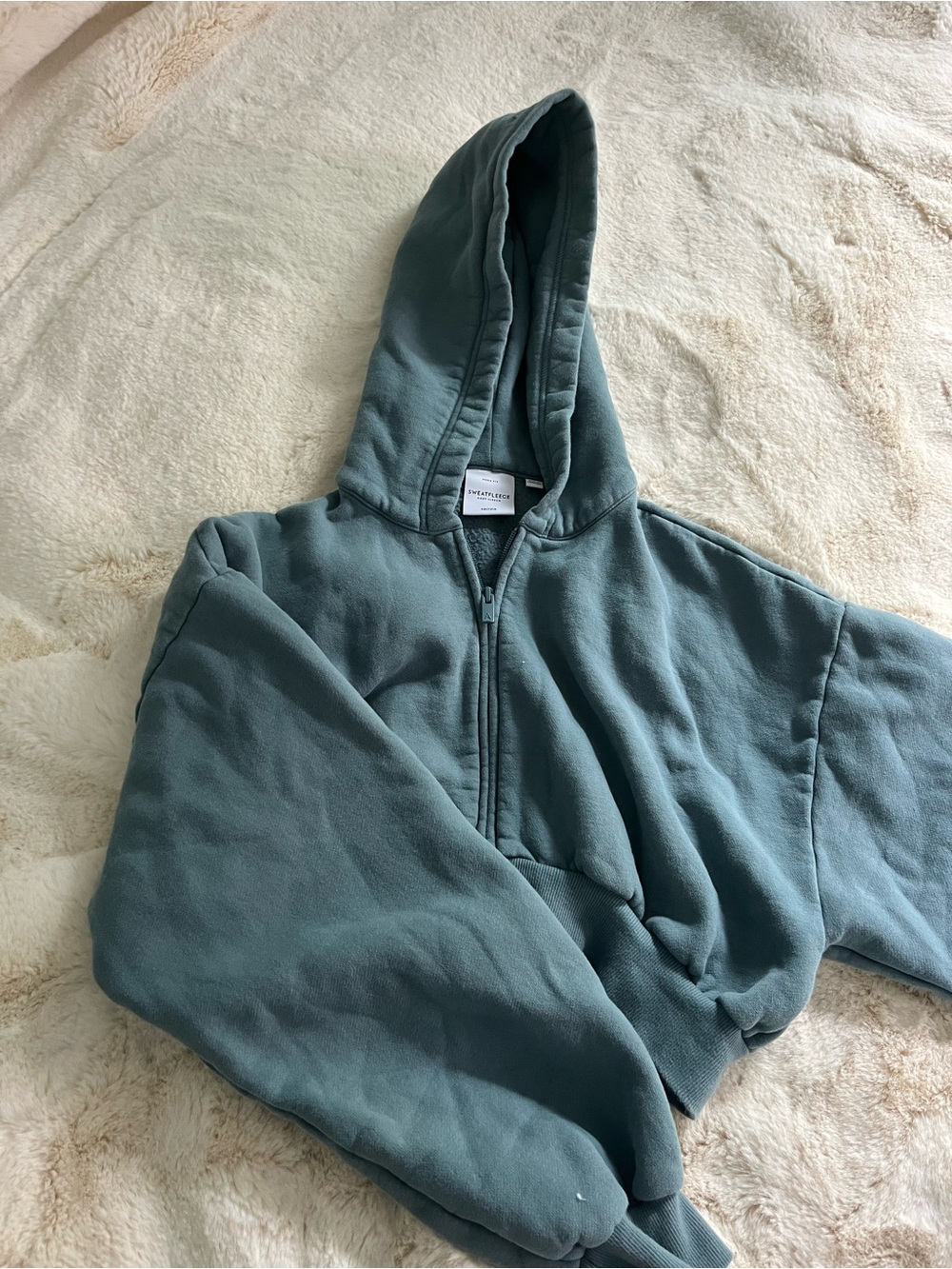 Aritzia Hooded cropped Zipper Jacket Green